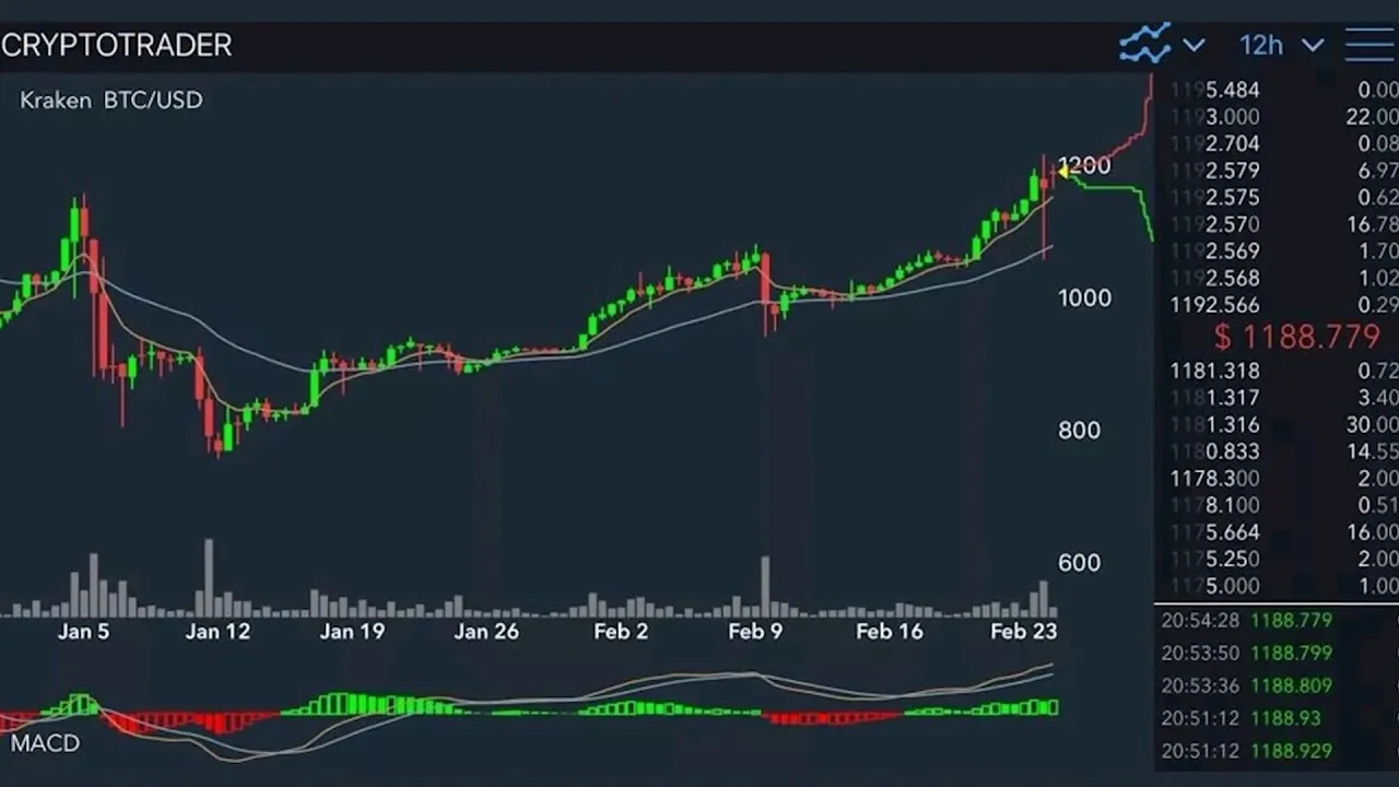 ФНС опубликовала котировки криптовалют: майнерам станет проще рассчитывать налоги
